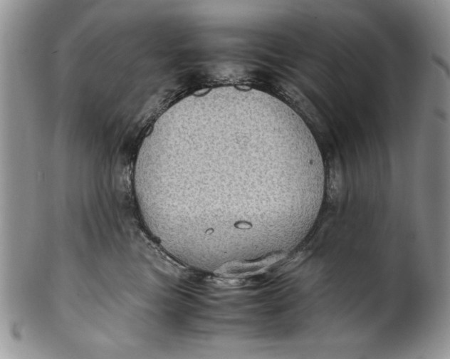 X0000099930473200806131407