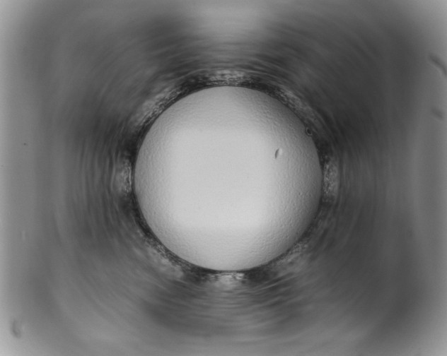 X0000099930474200806131407