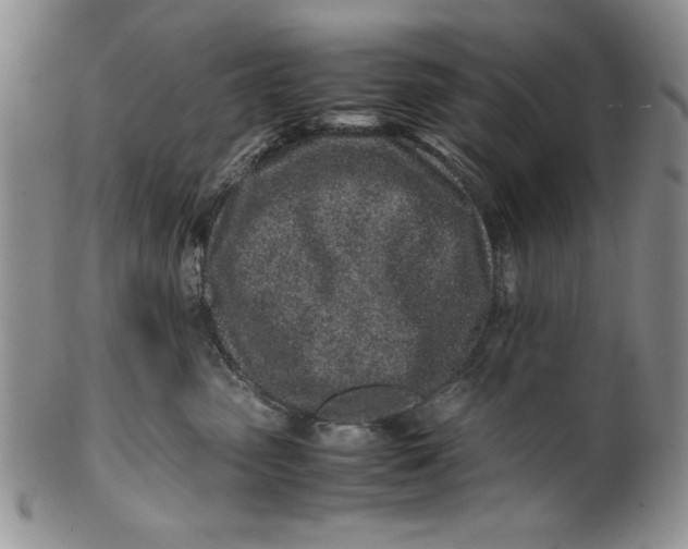 X0000099930475200806131407