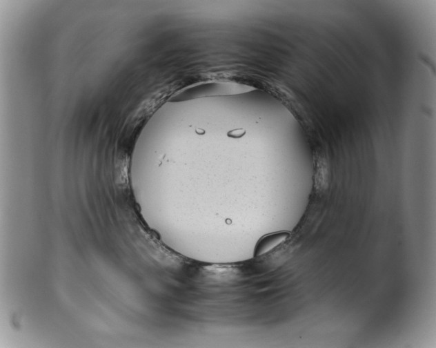 X0000099930477200806131407