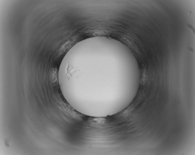 X0000099930478200806131407