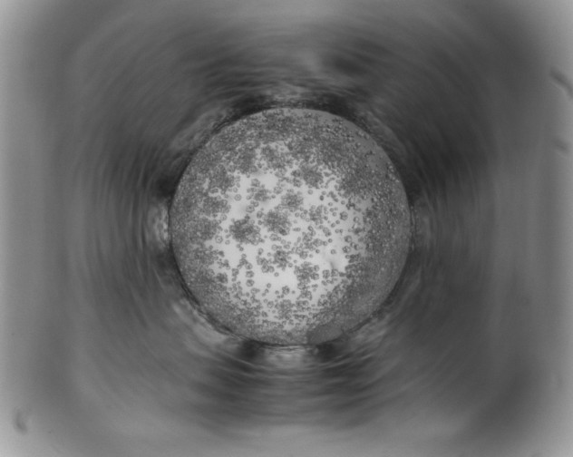 X0000099930479200806131407