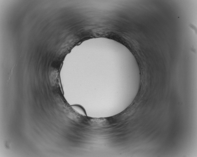 X0000099930480200806131407