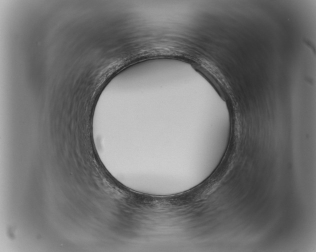 X0000099930481200806131406