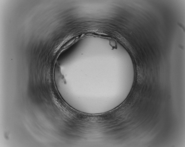 X0000099930482200806131406