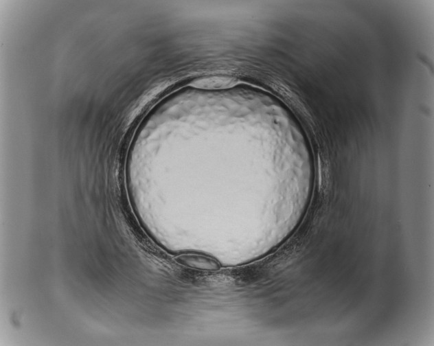 X0000099930483200806131406