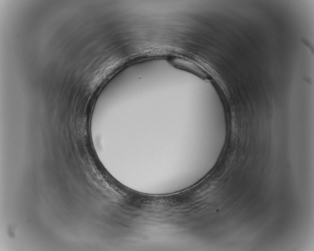 X0000099930485200806131406