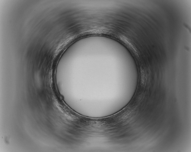 X0000099930486200806131406