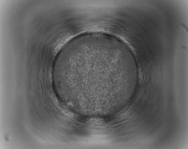 X0000099930487200806131406