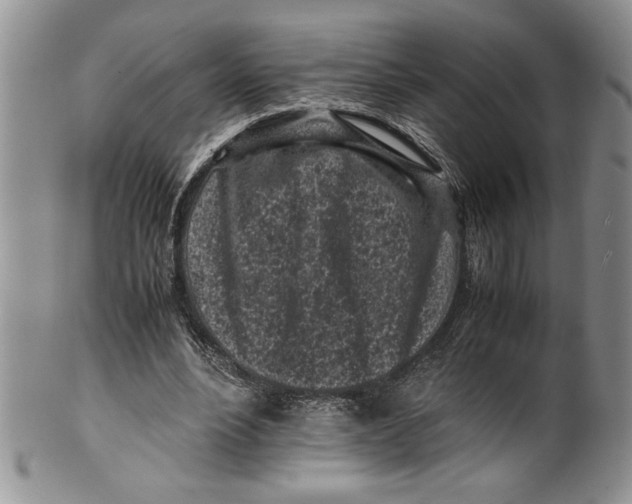 X0000099930488200806131406