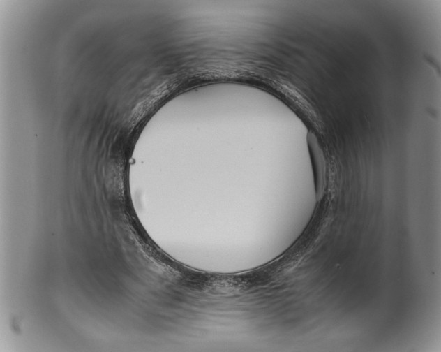 X0000099930489200806131406