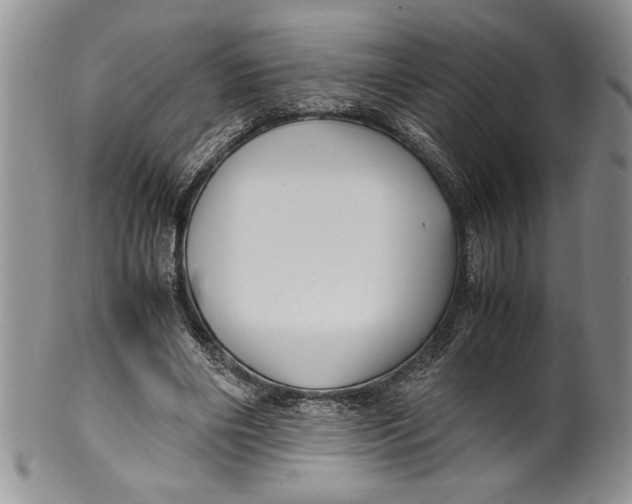 X0000099930490200806131406