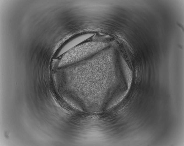 X0000099930492200806131406