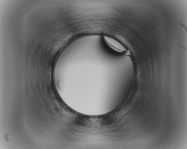 X0000099930493200806131406