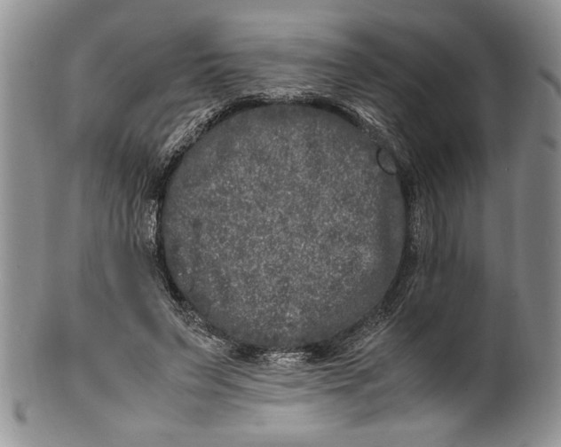 X0000099930495200806131406