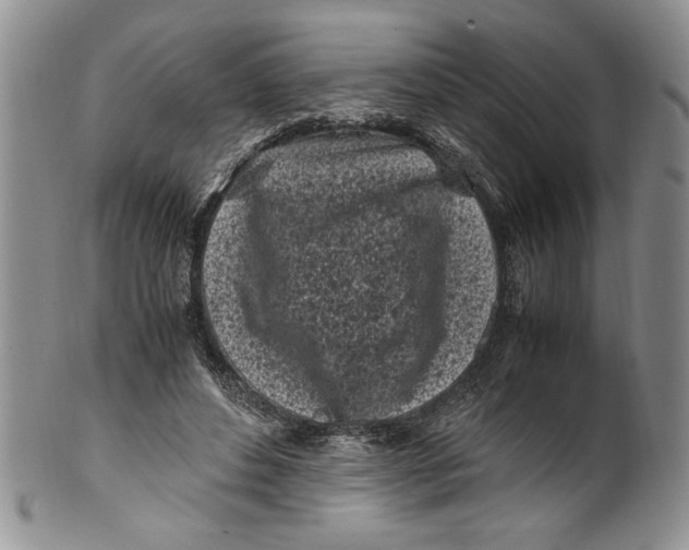 X0000099930496200806131406