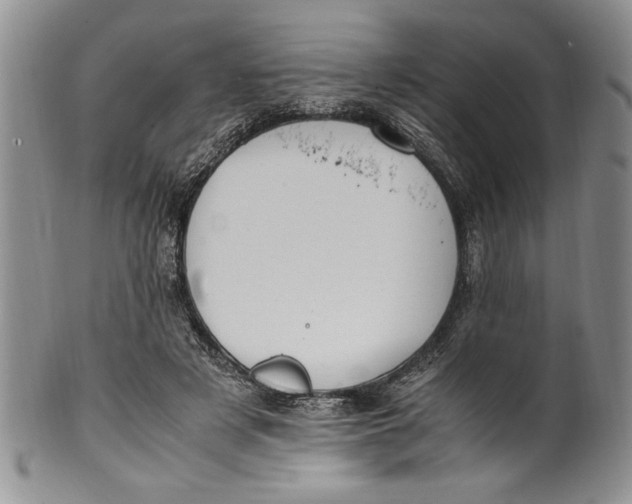 X0000099930497200806131406