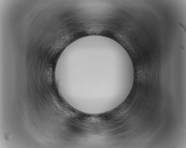 X0000099930498200806131406