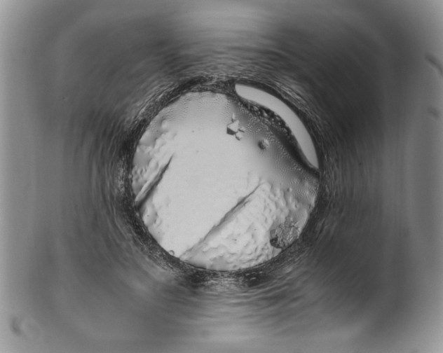 X0000099930499200806131406