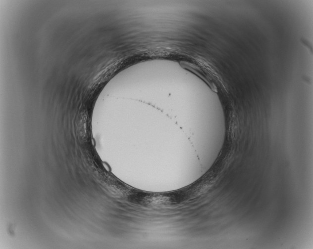 X0000099930501200806131406