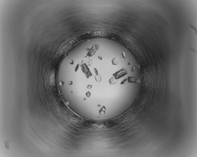 X0000099930502200806131406