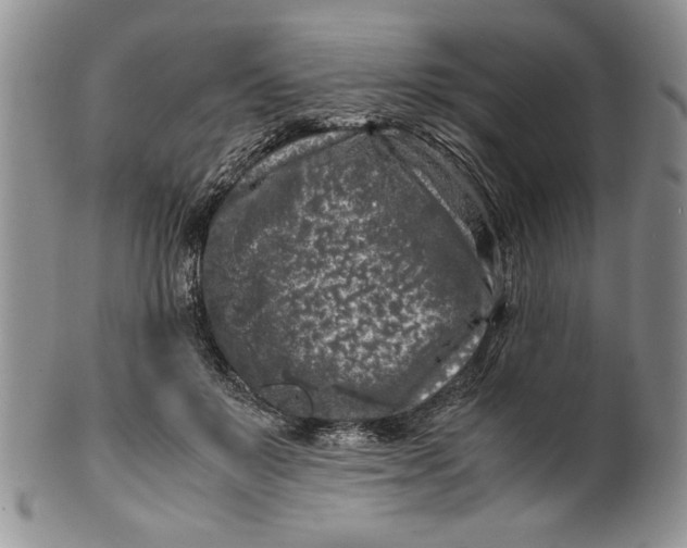 X0000099930503200806131406