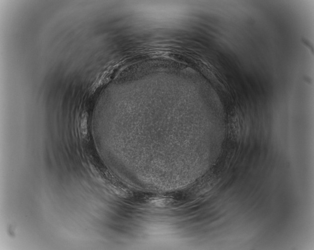 X0000099930504200806131406