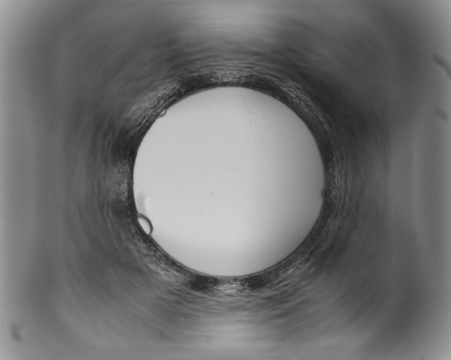 X0000099930505200806131406