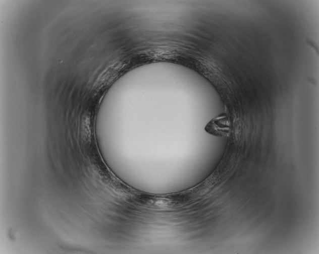 X0000099930506200806131406