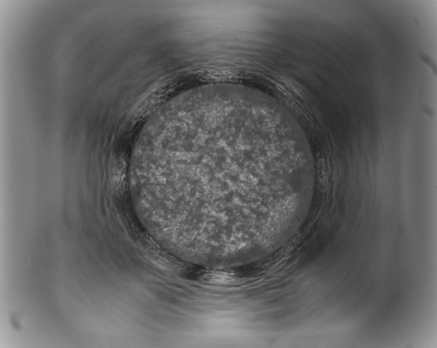 X0000099930507200806131406