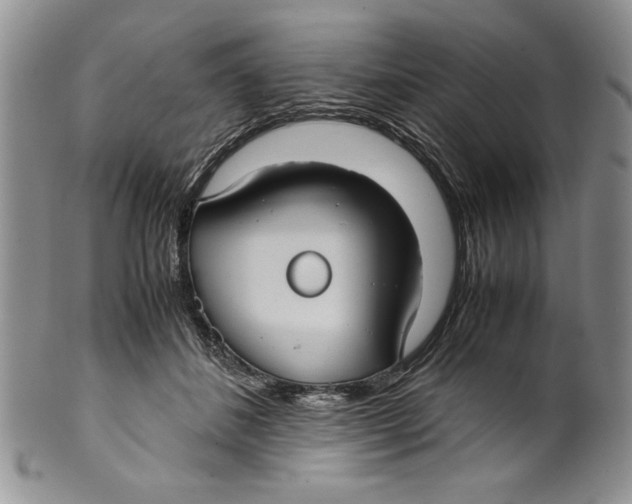 X0000099930508200806131406