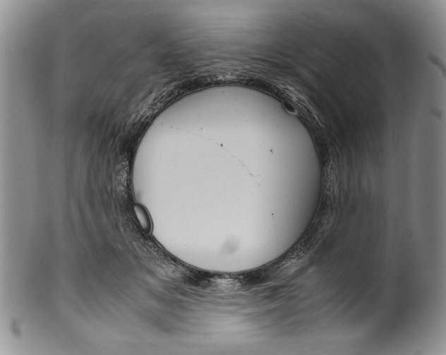 X0000099930509200806131406