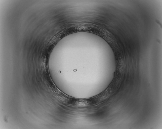 X0000099930510200806131406