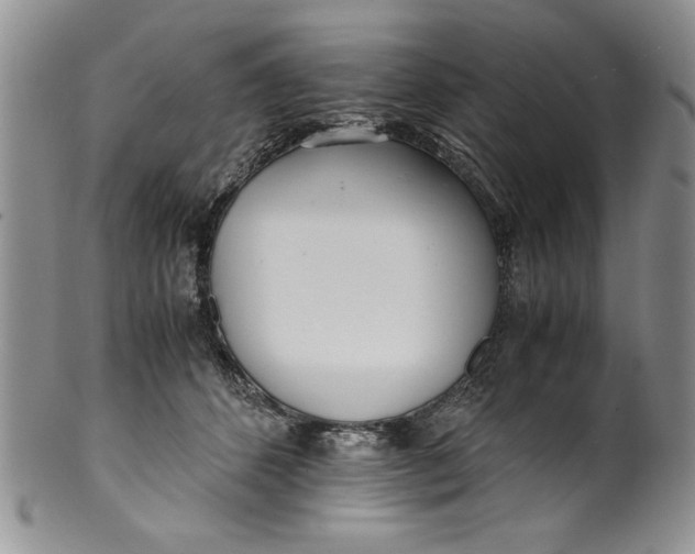 X0000099930512200806131406