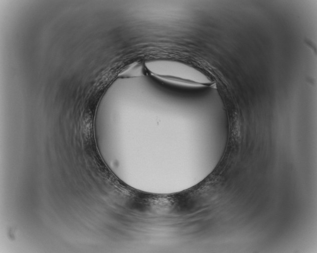 X0000099930513200806131406