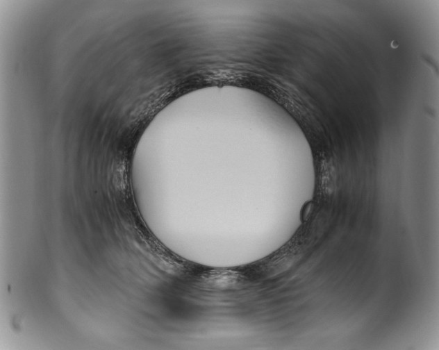 X0000099930514200806131406