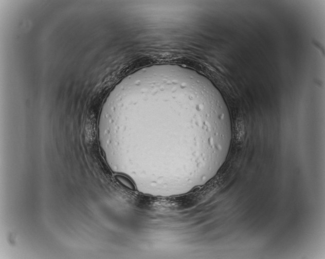 X0000099930515200806131406