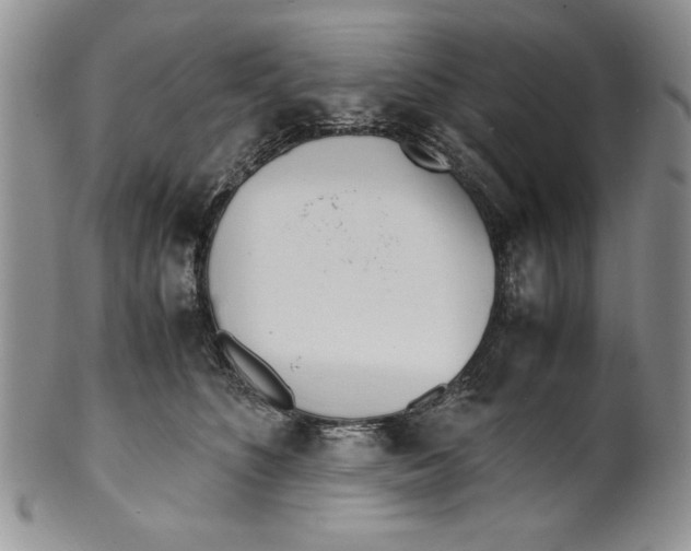 X0000099930516200806131406