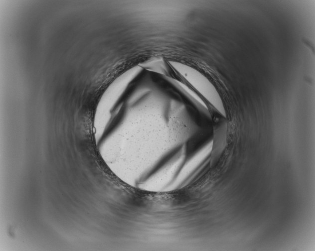 X0000099930517200806131406