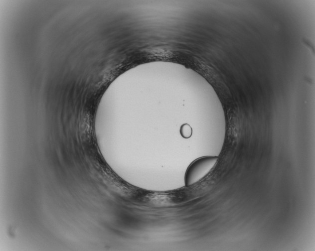 X0000099930518200806131406