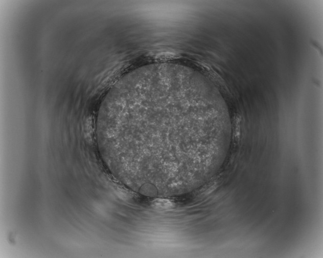 X0000099930519200806131406