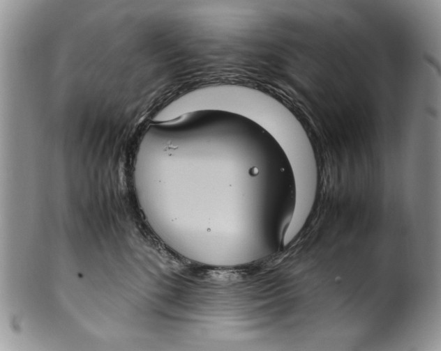 X0000099930520200806131405