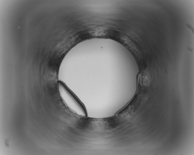 X0000099930521200806131405