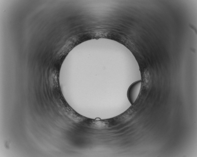 X0000099930522200806131405