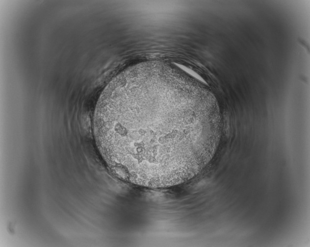 X0000099930523200806131405