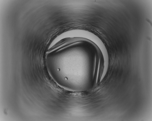 X0000099930524200806131405