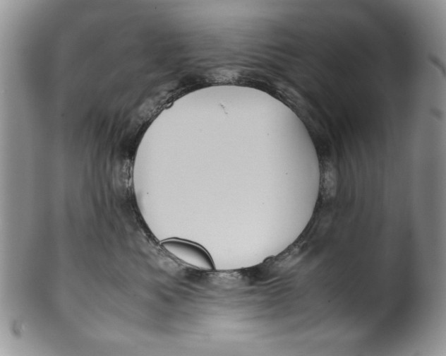 X0000099930525200806131405