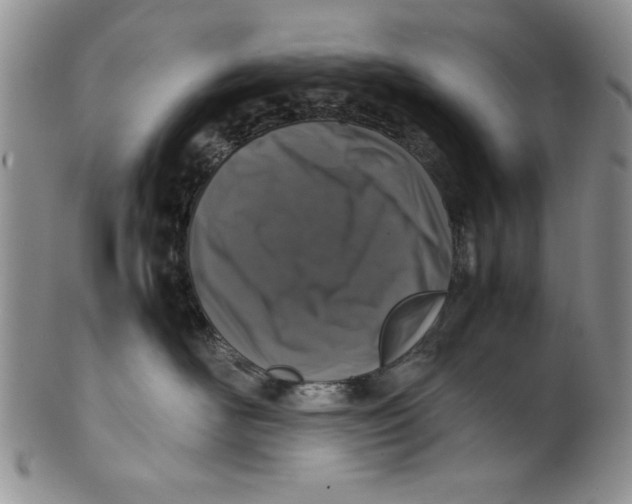 X0000099930526200806131405