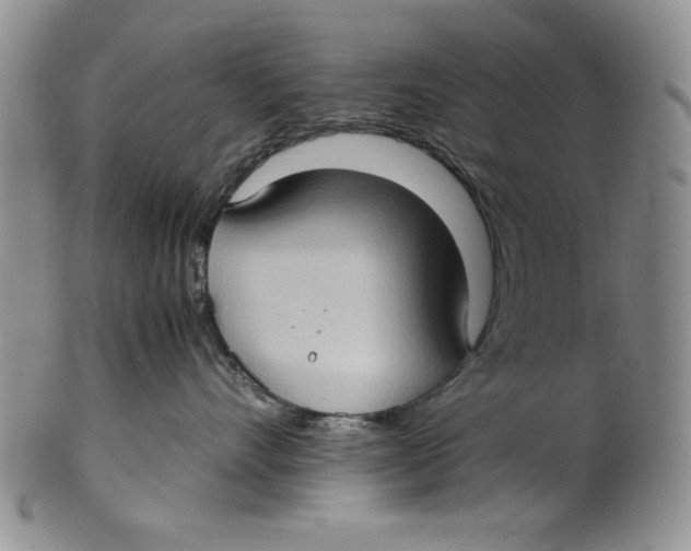 X0000099930528200806131405