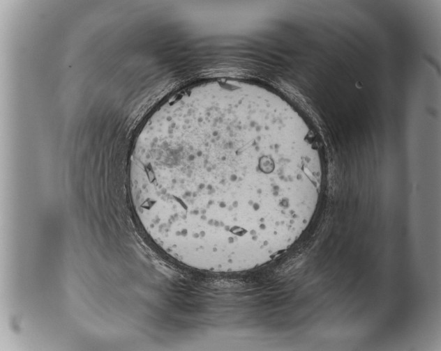 X0000099930529200806131405